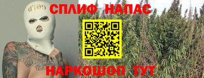 крисы Берёзовский