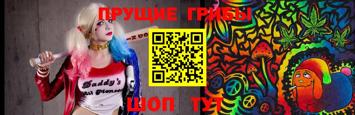 Псилоцибиновые грибы GOLDEN TEACHER Изобильный
